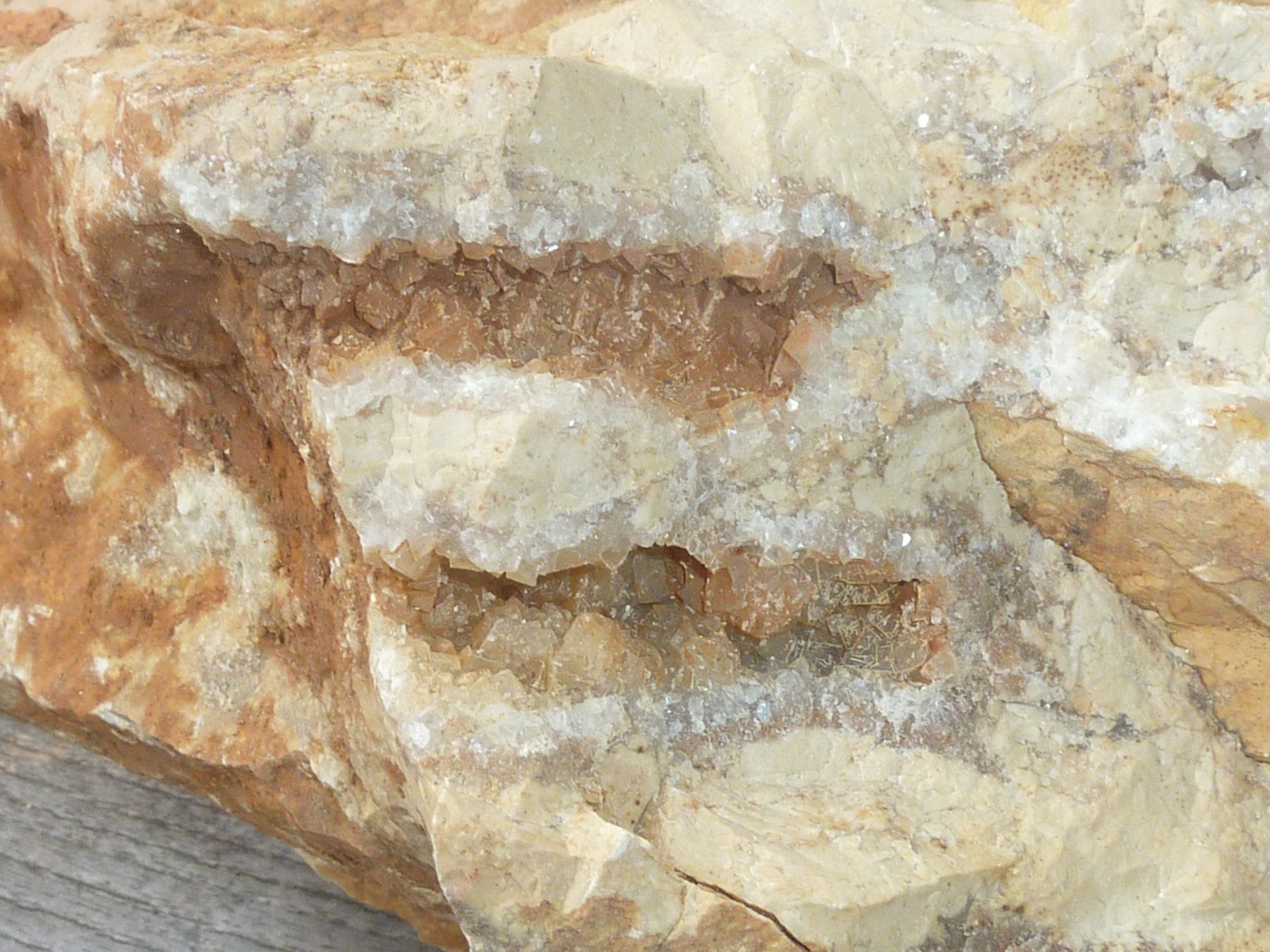 Fossili: Grosse, versteinerte Koralle, Rohstein – Nuovo (secondo la descrizione) da Triengen venduto da Nussbaum14 7