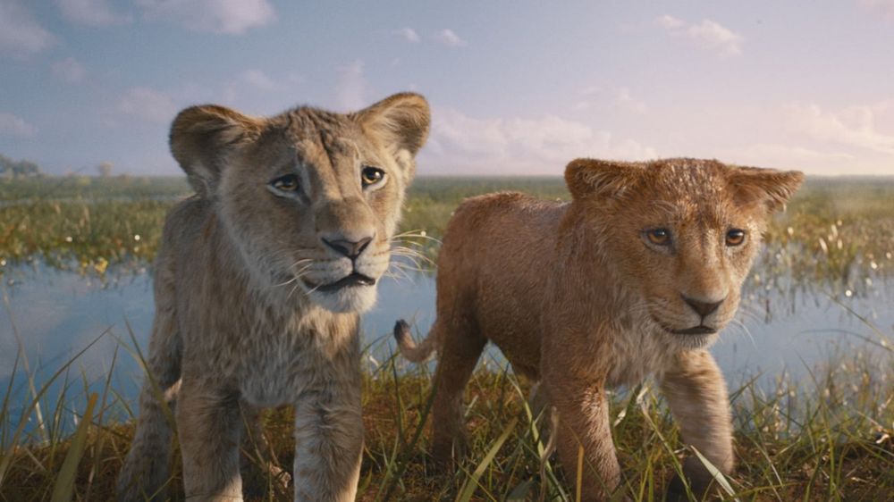 Luxus Der Knig Der Lwen Mufasa Fotos