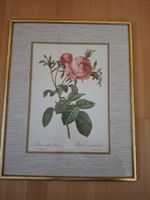 Rosenbild Farbdruck 51 x 41 cm (Rahmen)