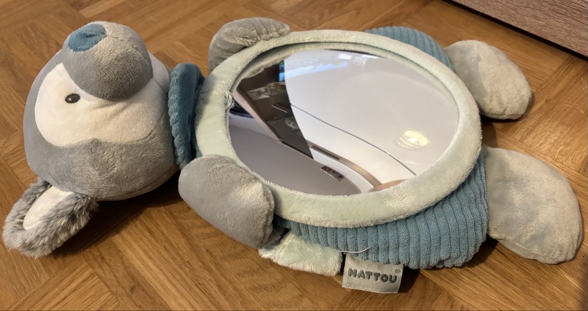 Specchi: Miroir bébé voiture – Usato da Grand-Lancy venduto da sof_tw6p