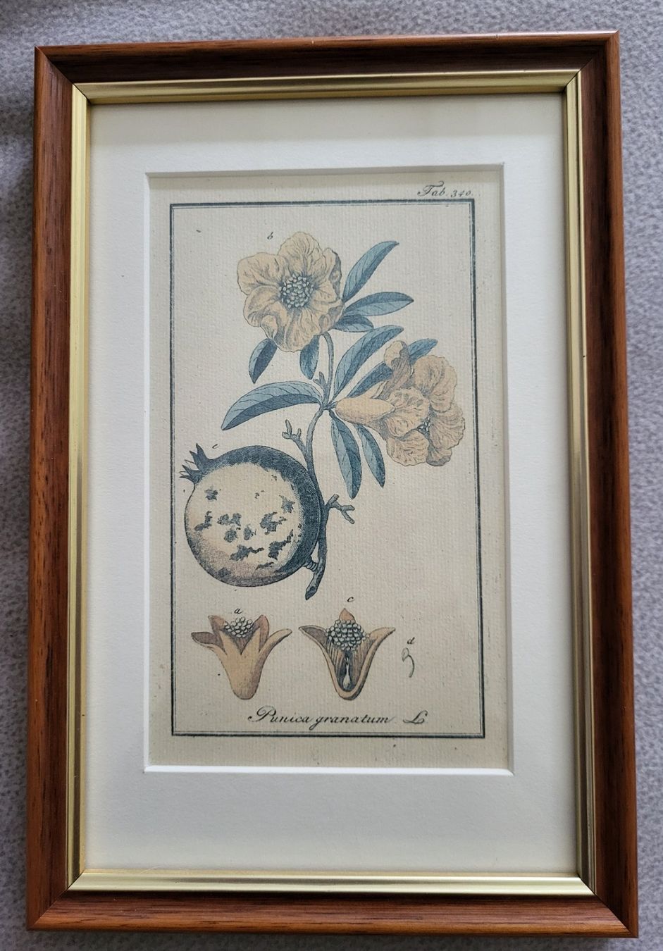 Grafica & Litografie: Zwei schöne Bilder (vermutlich Lithografien) – Usato da Guntershausen venduto da Luzia62 1