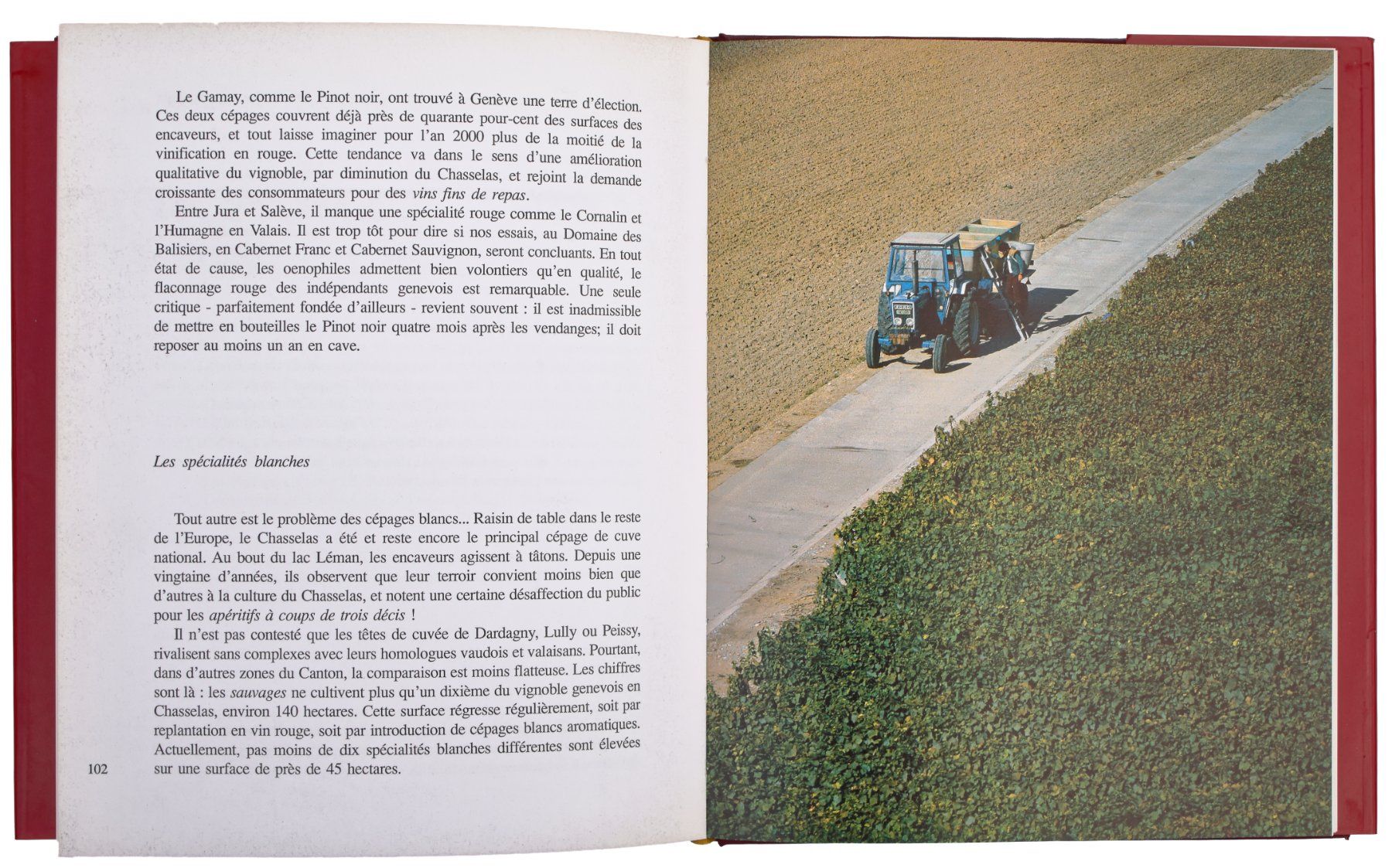 Libri: LES VINS DE GENÈVE "Exemplaire Hors Commerce" – Usato da Onex venduto da gonsla 7