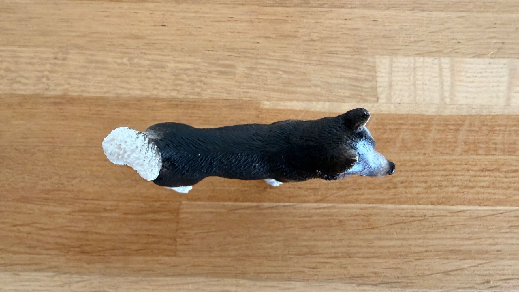 Schleich Giocattoli: SCHLEICH - Husky 16371 – Usato da Winterthur venduto da Secondhand-Family 4