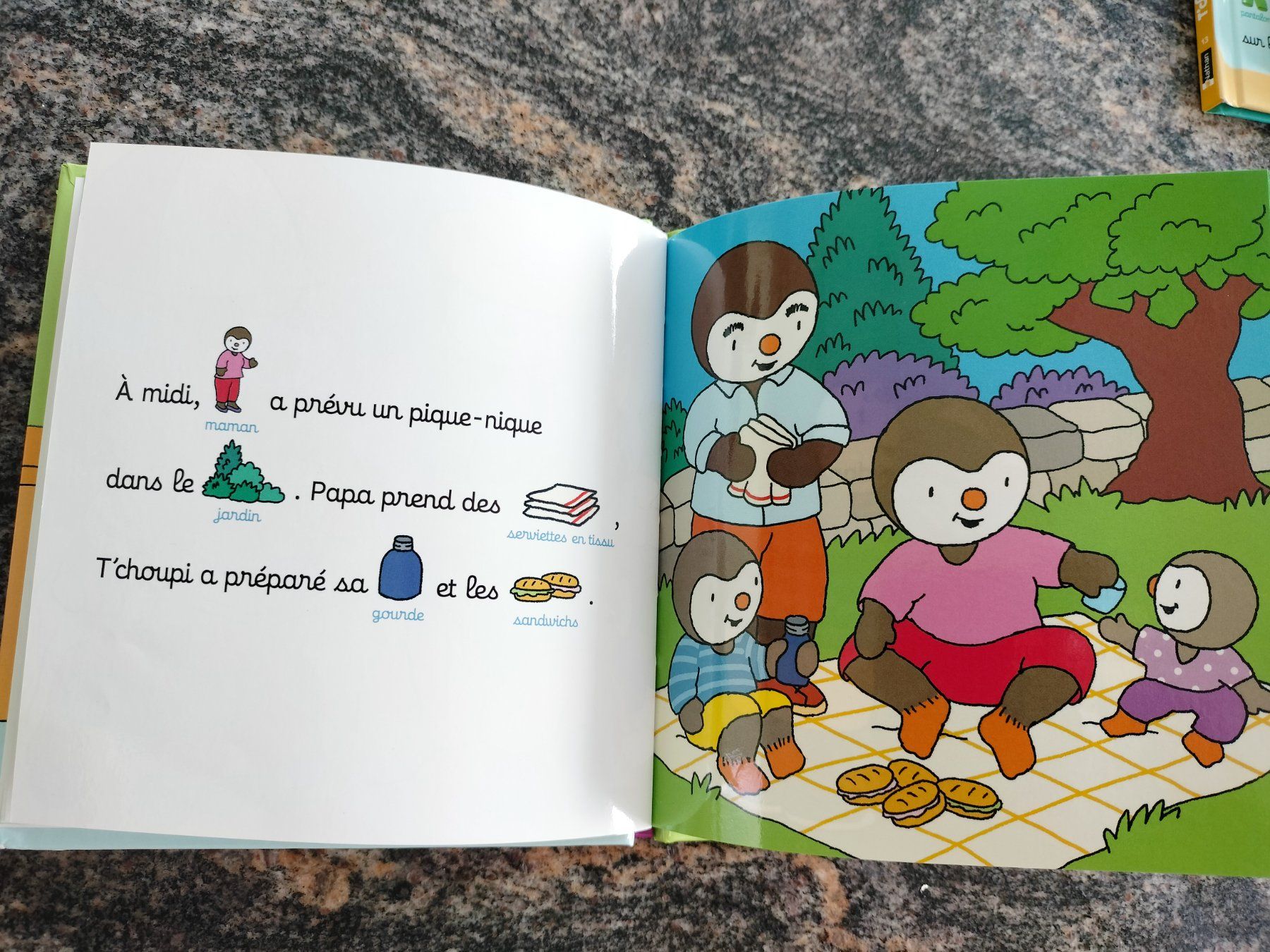 Bücher: T'choupi prend soin de la planète – Gebraucht aus Cortaillod von  5