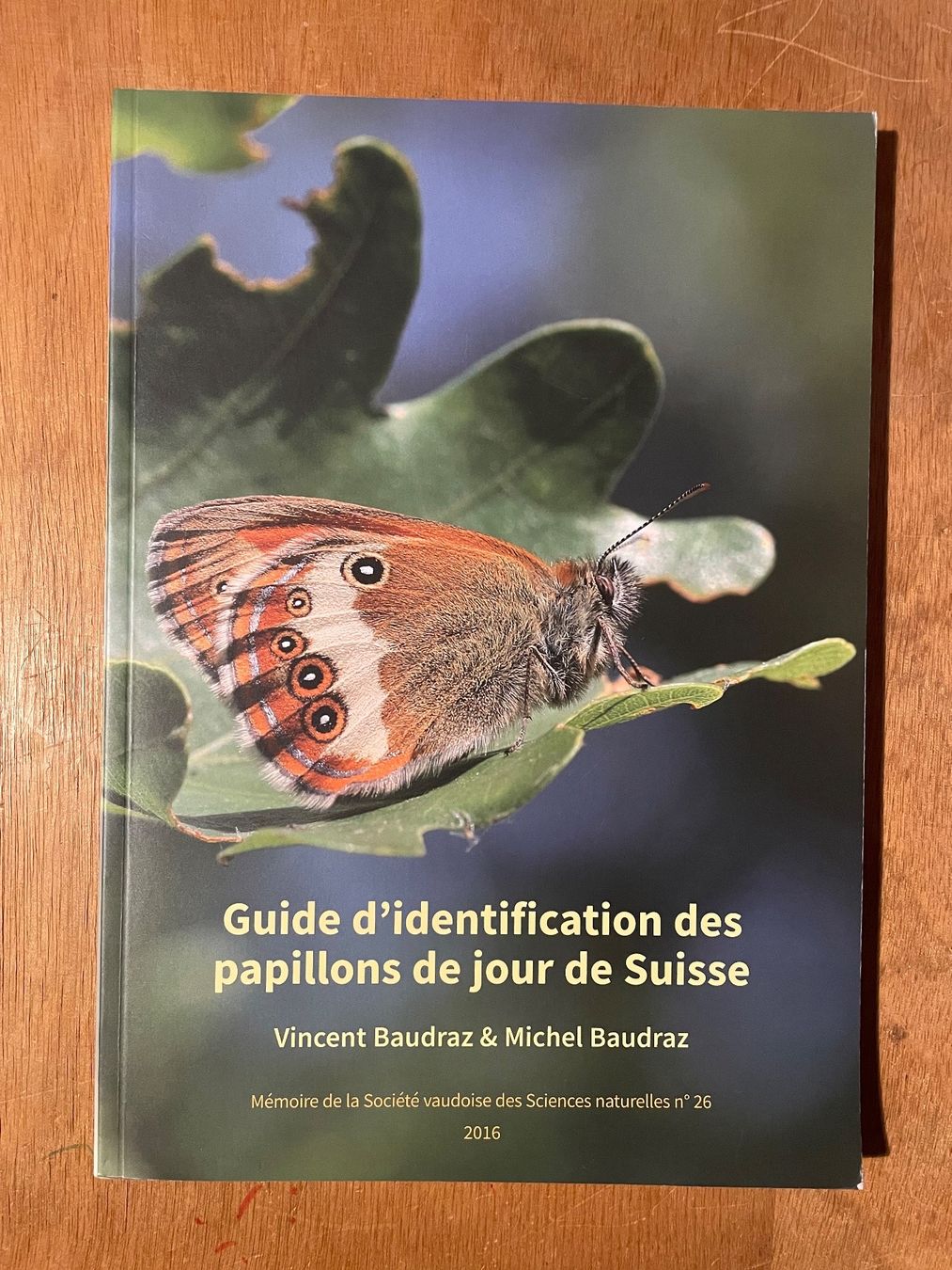 Libri: Guide d'identification des papillons de jour de Suisse – Usato da Zürich venduto da WWehrle