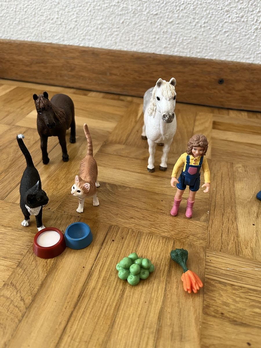 Schleich Giocattoli: Schleich Farm World 42482, Pony Agility – Usato da Reutigen venduto da treu3006 3