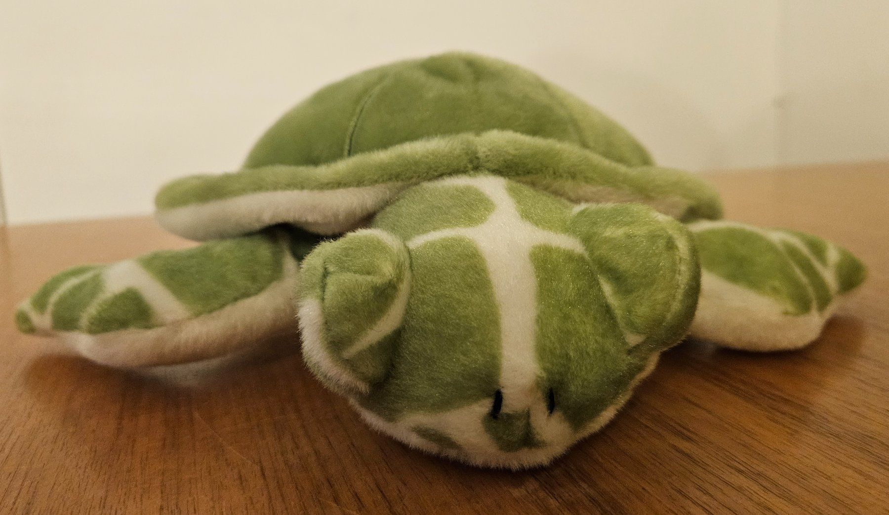 Spielzeuge: Schildkröte Plüschtier 25cm – Gebraucht aus Chur von Brigma02 1