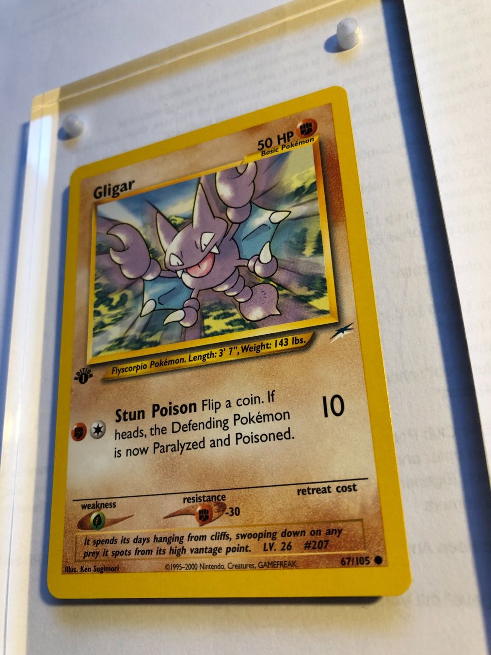 Carte collezionabili: Gligar 1st Neo Destiny - MINT - ab 1.- – Usato da Giubiasco venduto da dan_pr8b 2
