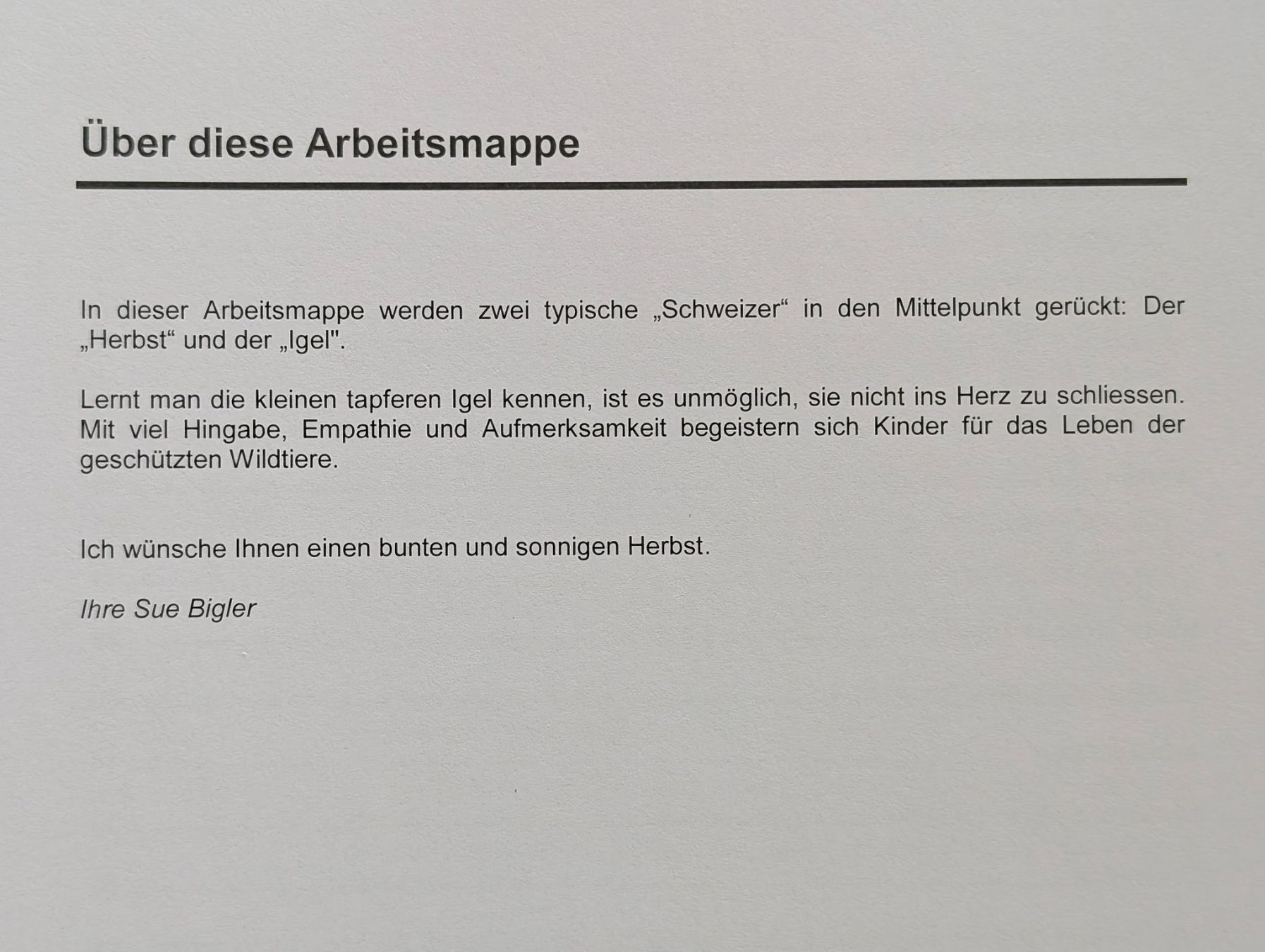Libri: Kindergartenarbeitsmappe: Der Igelherbst – Nuovo (secondo la descrizione) da Weite venduto da Nur63 1