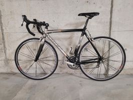 Rennvelo Carbon Trek Madone