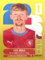 Carte FIFA World Cup 2026 CZE 14