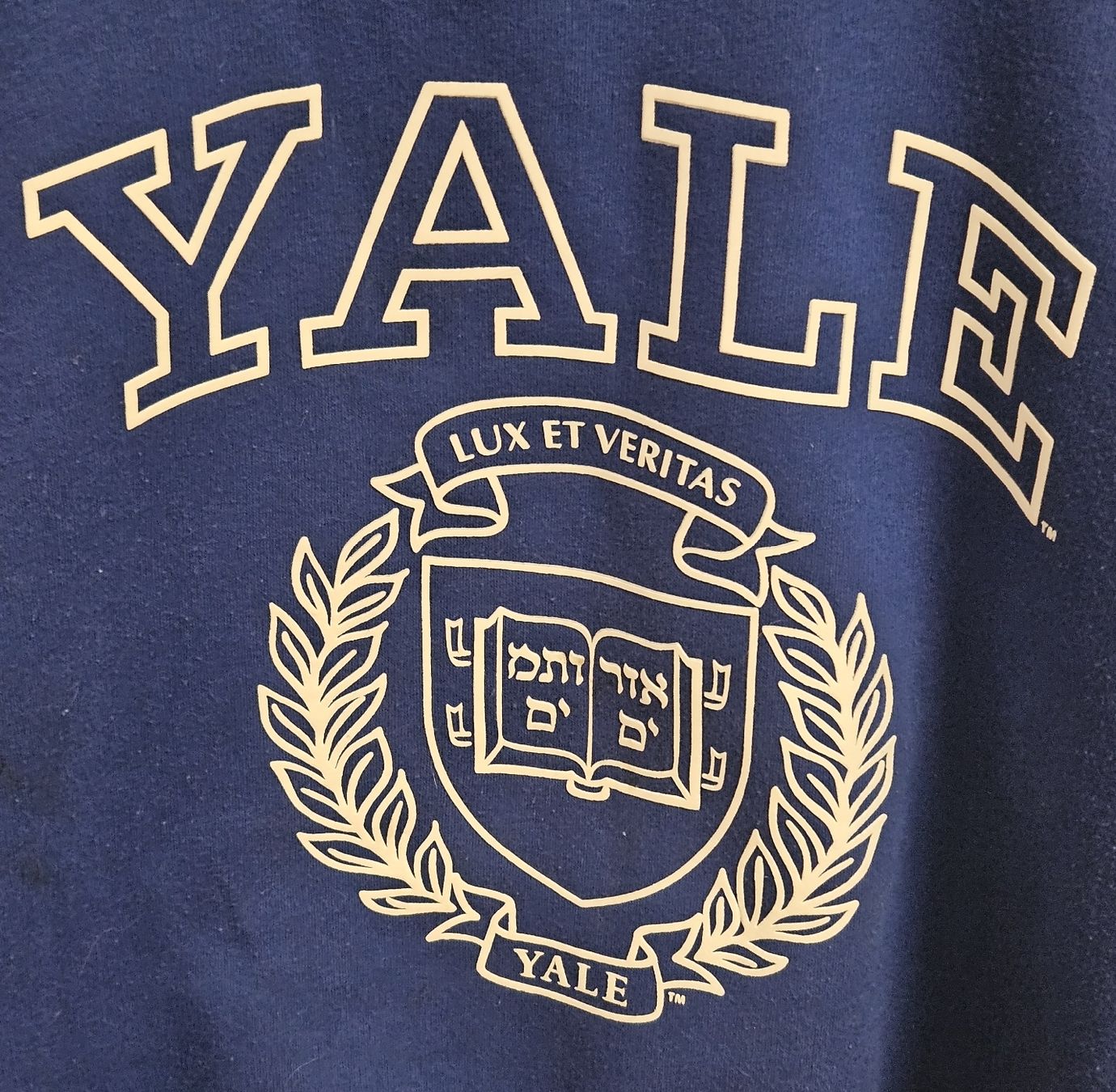 Maglioni & Felpe: Pulli Gr. S - Tally Weijl - Spendenaktion – Usato da Unterkulm venduto da Beljasch 1