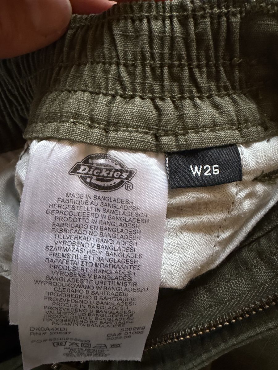 Dickies Pantaloni: Dickies Cargohose – Usato da Bern venduto da mae_jn57 2