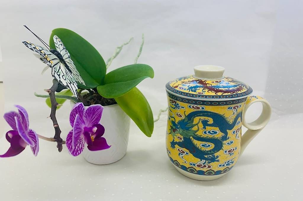 Tazze:  Tee Tasse  exklusiv  – Usato da Obernau venduto da Antarctica4