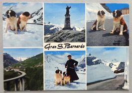 Grand-St. Bernard alt. 2472 m