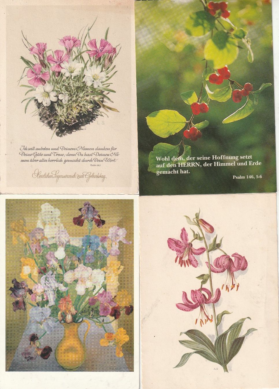 Cartoline postali: 40 Blumenkarten – Usato da Lumbrein venduto da made02 4