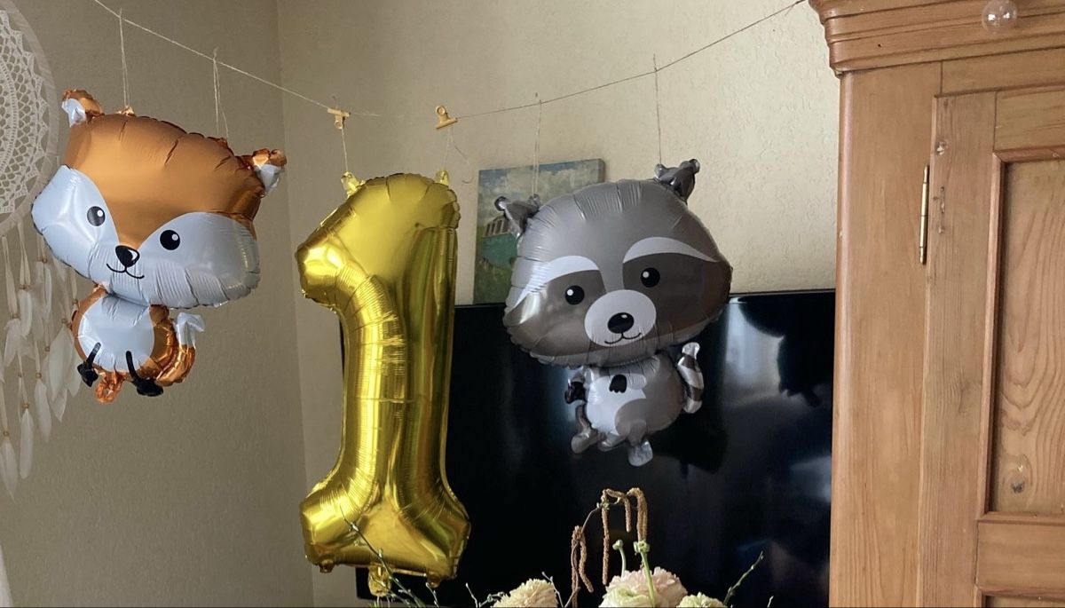 Tutte le decorazioni: Waldtiere Deko Kindergeburtstag 1 – Nuovo (secondo la descrizione) da Strengelbach venduto da schnaeusel 2