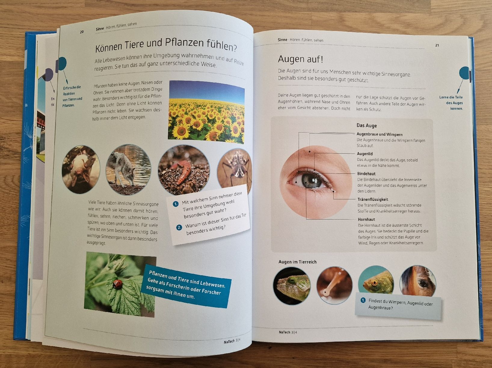 Libri: NaTech 3/4 Themenbuch – Usato da Frutigen venduto da Maqua 3