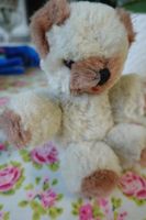 antikes Spielzeug: kleiner Teddybär Bär Plüschtier