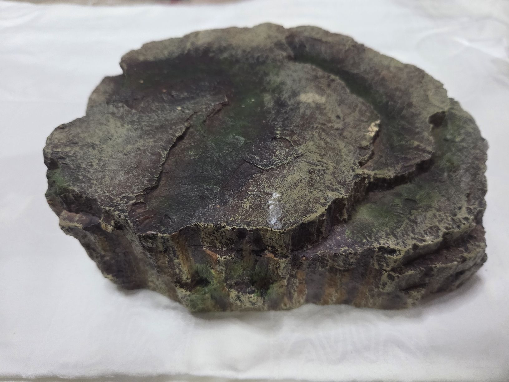 Tutte le decorazioni:  grotte pour reptile – Usato da Neuchâtel venduto da pasprie 4