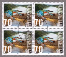 2002_1071_EISVOGEL_Schönes NATUR-MOTIV_TdB__Vb_8197 Rafz !