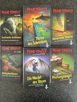 Fear Street Bücher R.L. Stine 6 Stk. guter Zustand