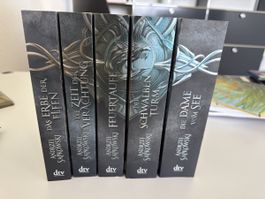 Buch-Set "The Witcher" (Geralt-Saga) Komplett 1-5