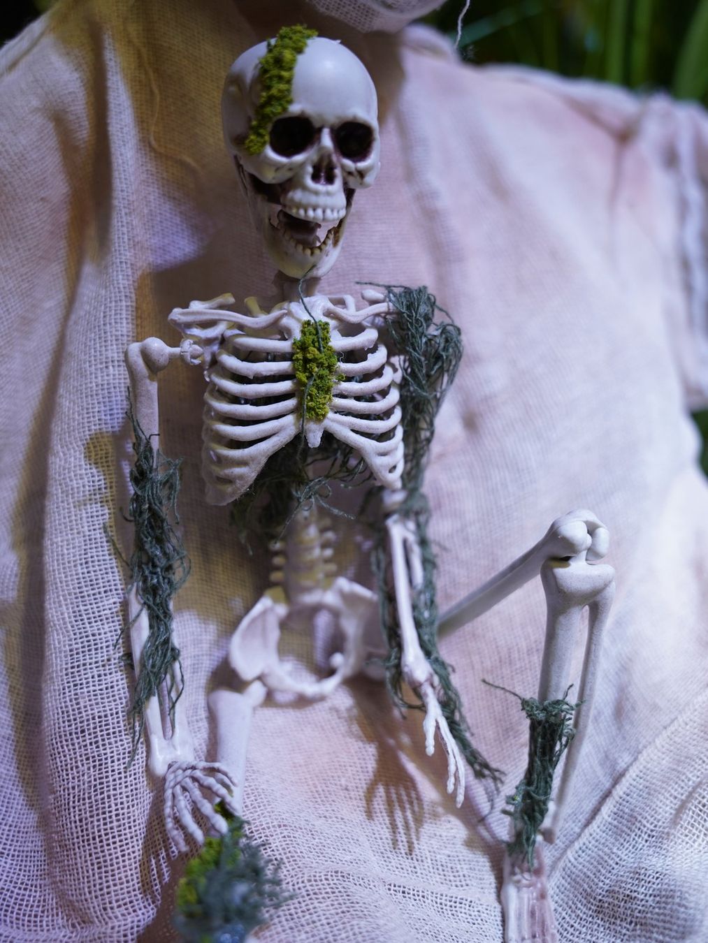 Statuette: EUROPALMS Halloween Skelett mit Moos, 40cm – Nuovo e nell'imballaggio originale da Däniken SO venduto da Profog1 1