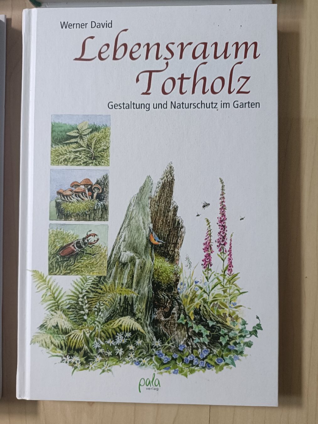 Libri: Bücher Naturgarten – Nuovo (secondo la descrizione) da Schmerikon venduto da mrtl 4