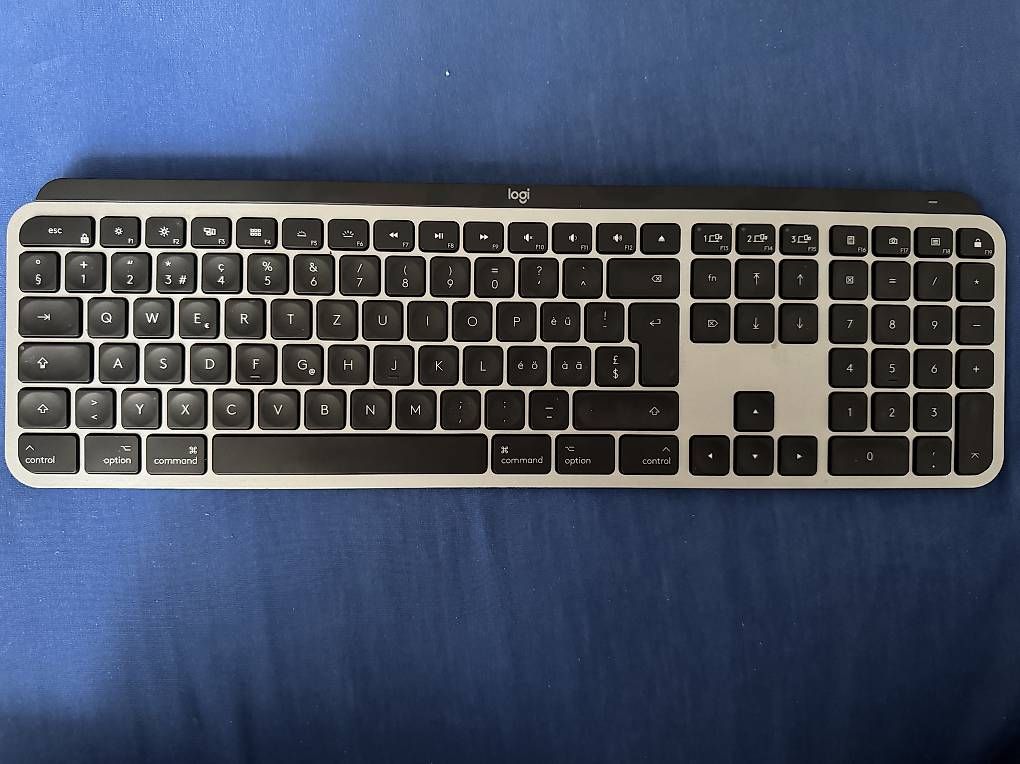 Tastiere: Logitech MX Keys for Mac – Usato da Reinach BL venduto da j_7fjs