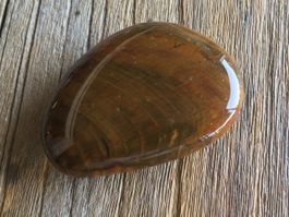 VERSTEINERTES HOLZ  HANDSCHMEICHLER / TASCHENSTEIN