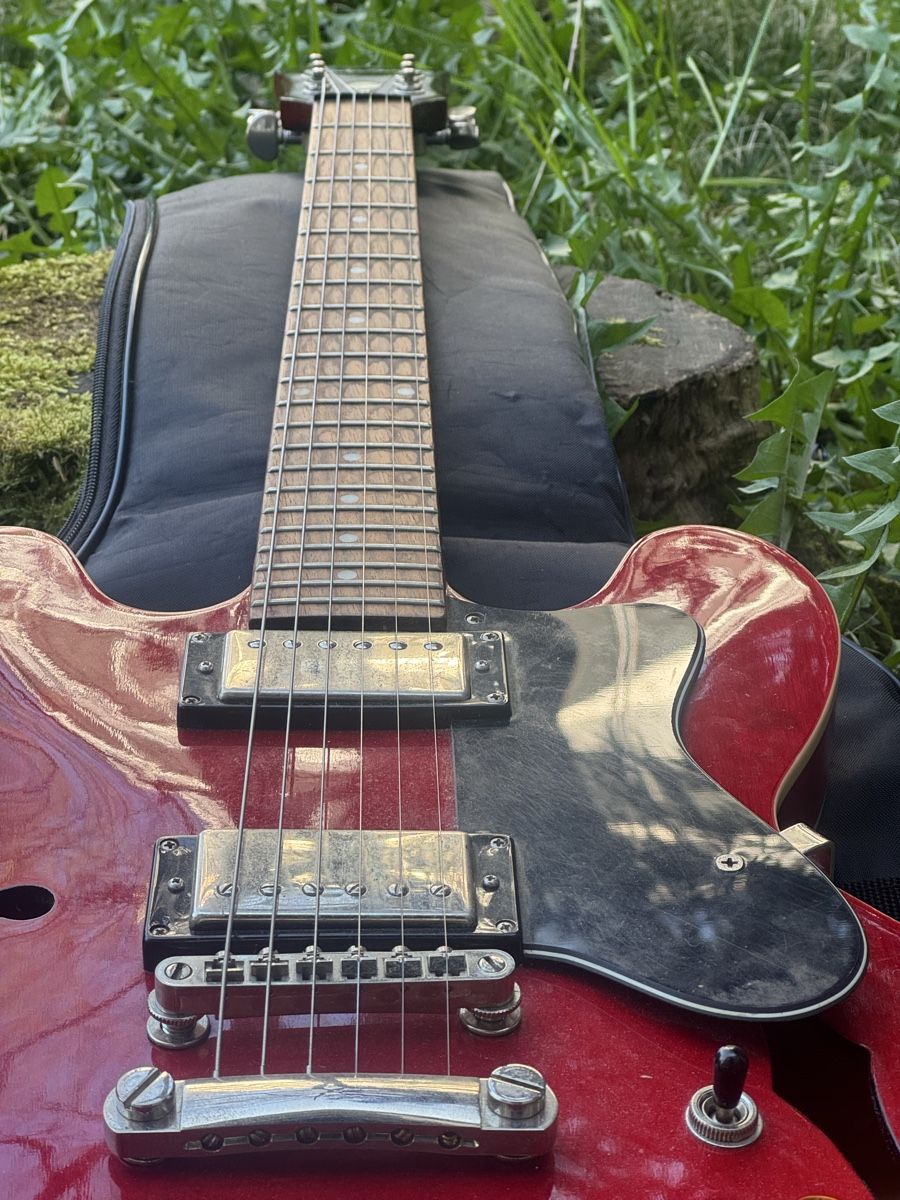 Strumenti musicali: Luna E-Guitar & used Amplifier – Nuovo (secondo la descrizione) da Basel venduto da ine_d8d5 2