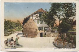 LANDWIRTSCHAFT/KAESEREI 1931 mit Hundekarren Habstetten BE