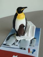 TONIE *PINGUIN WAS IST WAS*