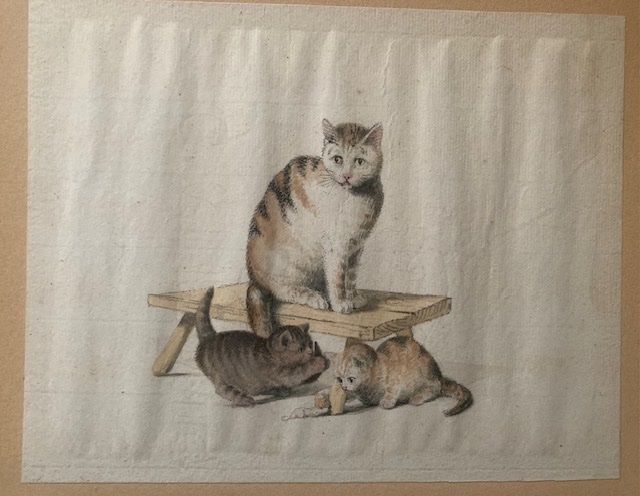 Gottfried Mind, Bern Katzen Katzenmutter 5