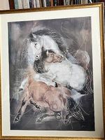 Erni chevaux 1989