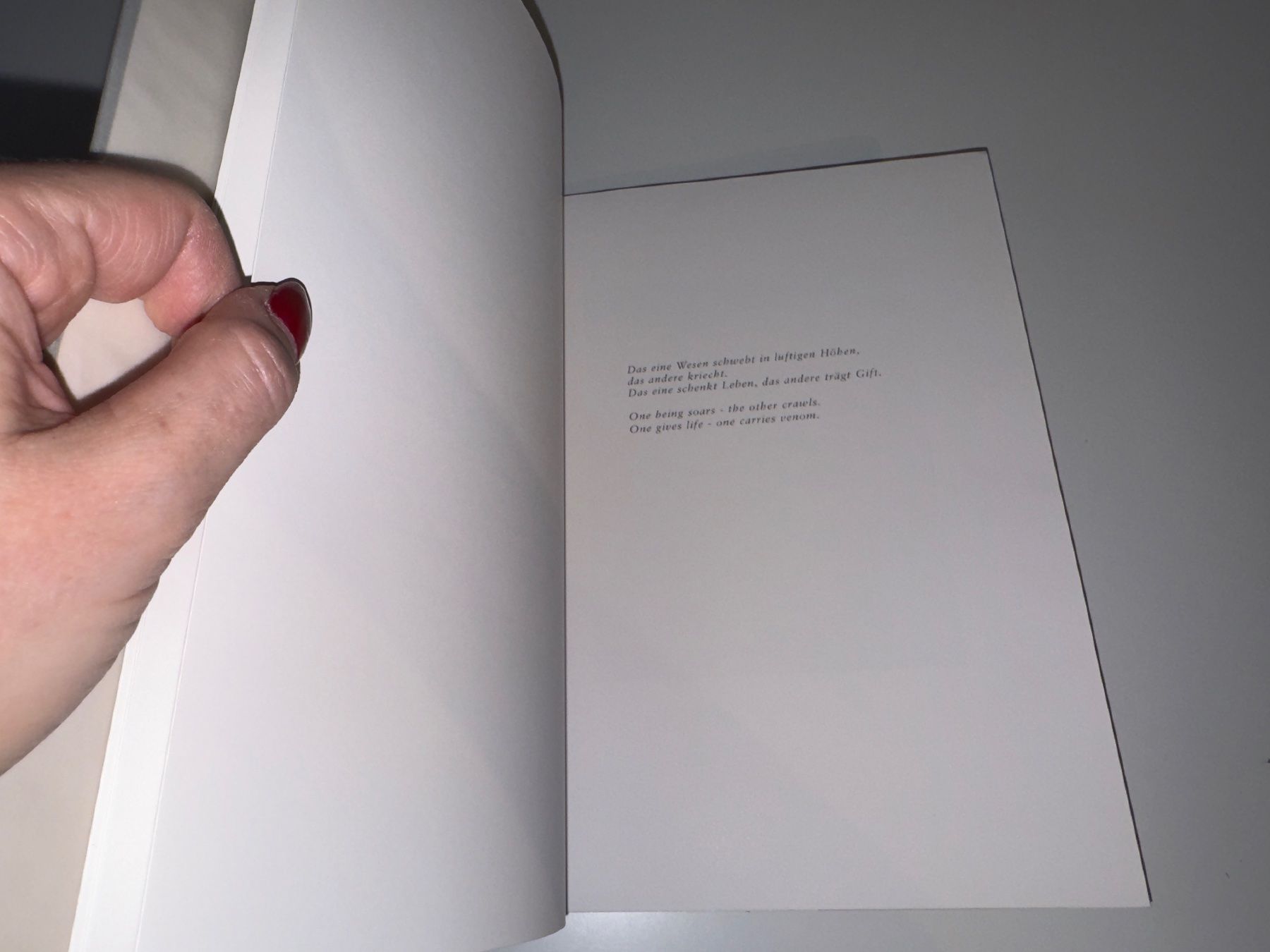 Libri: BUCH: Hjørdis Dreschel – Usato da Grosswangen venduto da Second_hand_paradise 3