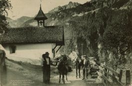 Maderanertal  UR  -  Maultier - Transport / St. Antoni  1908