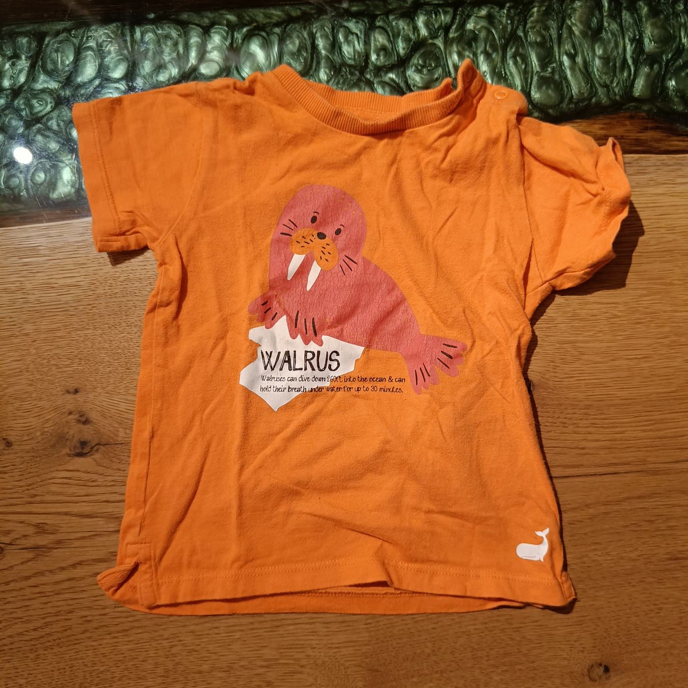 Chemises, T-shirts & Polos: T-Shirt Grösse 86 – D'occasion à Jaberg par urig17.
