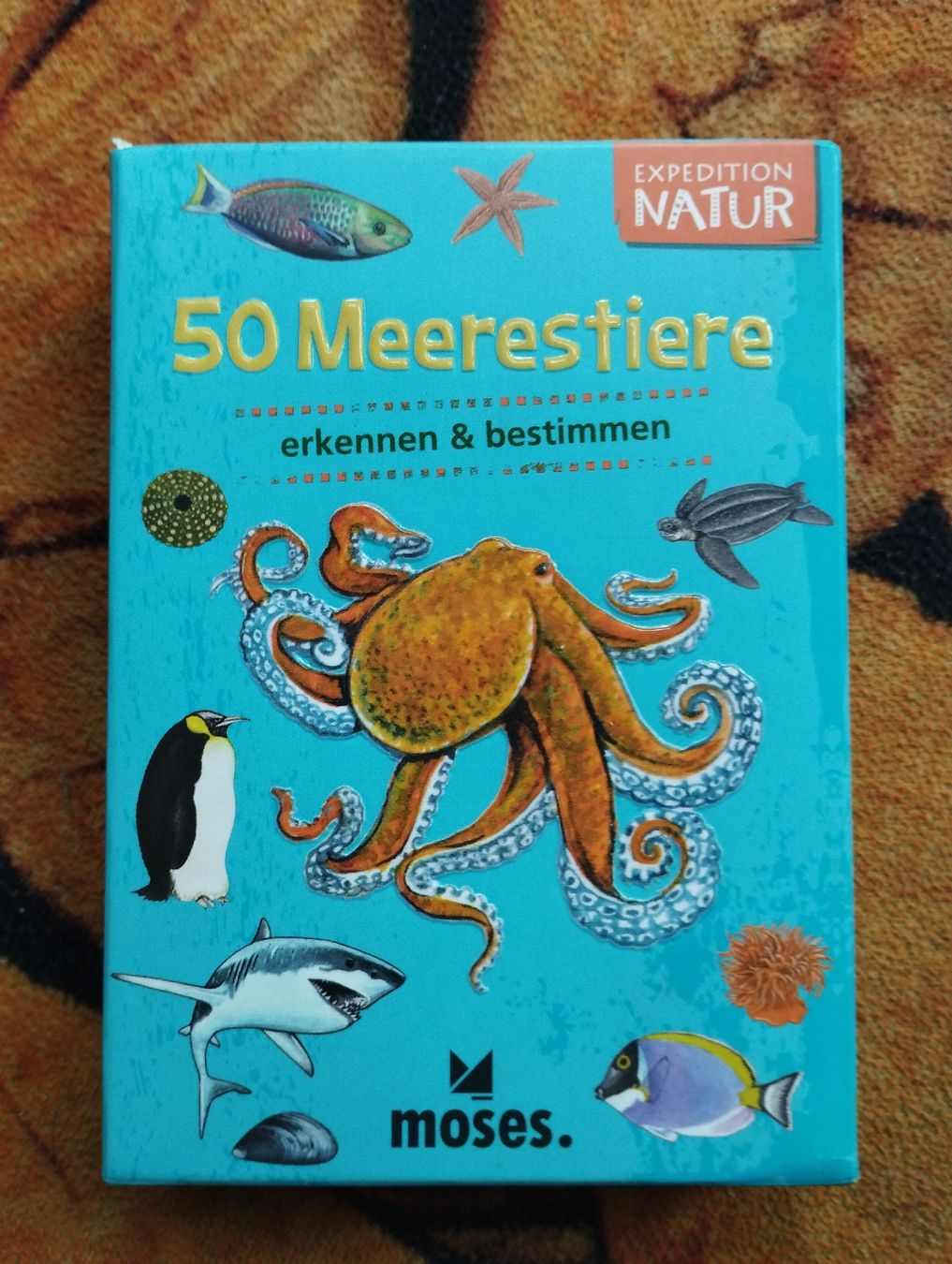 Giochi: 50 Meerestiere Quiz – Nuovo (secondo la descrizione) da Hallwil venduto da cao_x7wb