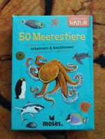 50 Meerestiere Quiz
