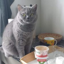 Profile image of Edje