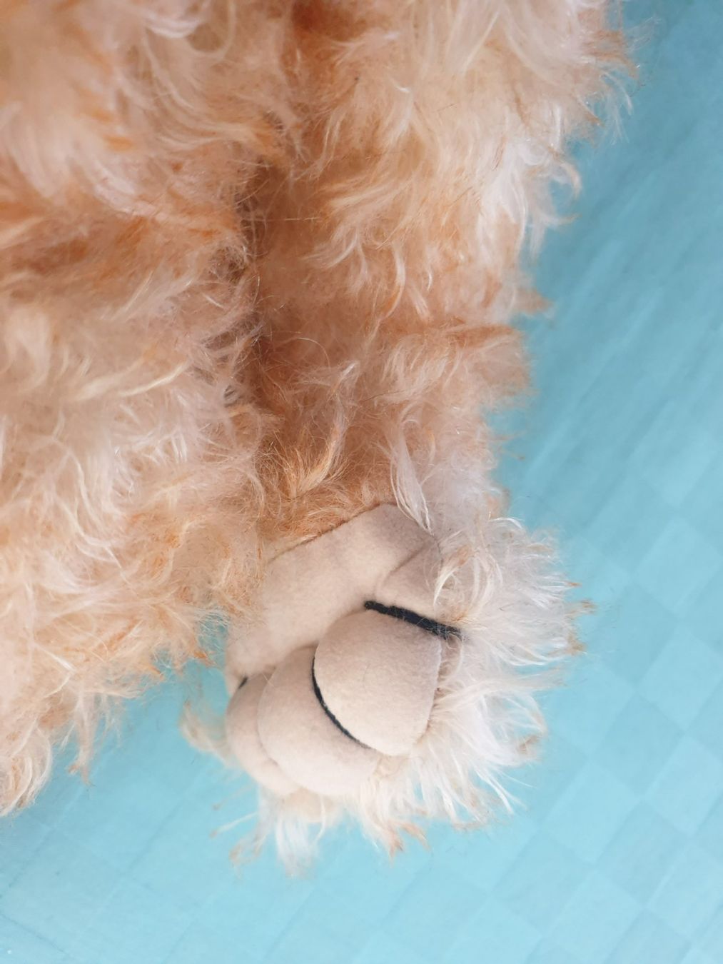Giocattoli: Teddybär Teddy Be's Hombi Bären Sugar – Usato da Mörschwil venduto da spirspi 2