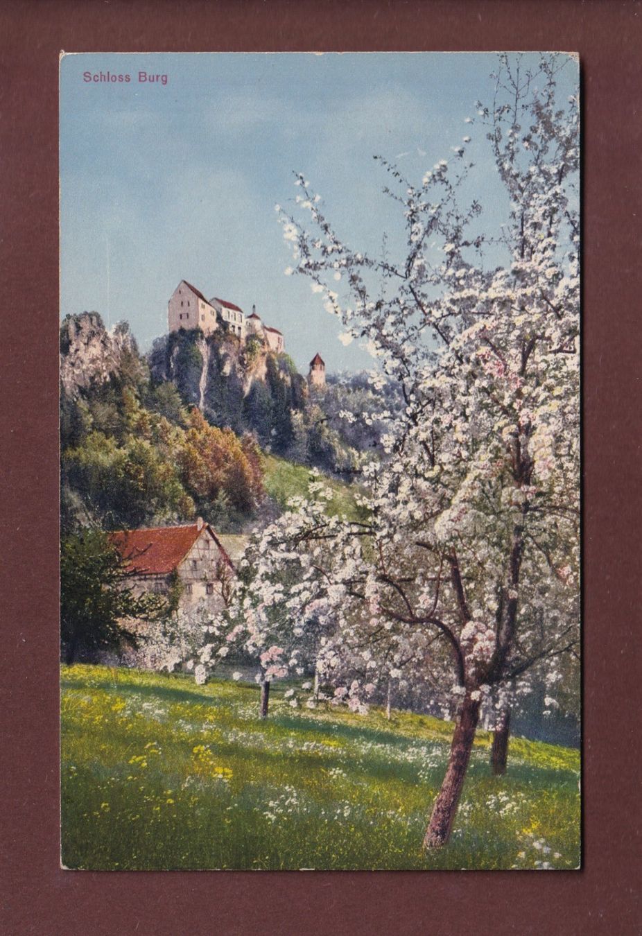 Cartoline postali: SCHLOSS BURG - 1920 – Usato da Pully venduto da nicecards