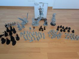 Age of Sigmar / Warhammer Armee Soulblight Gravelords Untote