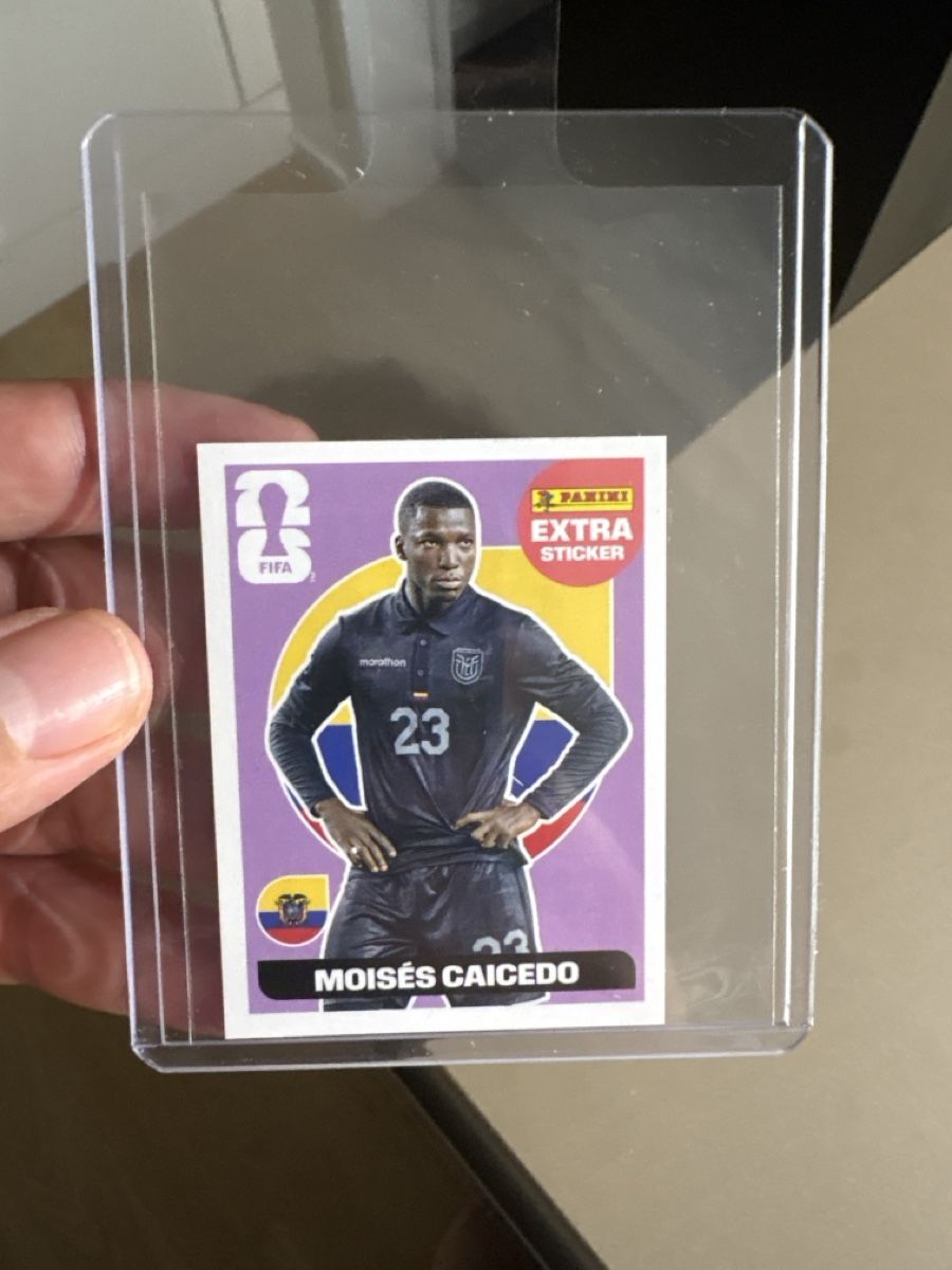 Panini Sammelbilder & Trading cards: ca 400 panini sticker und ein extra  sticker – Neu (gemäss Beschreibung) aus Winterthur von raf_l7dn 1