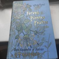Fleurs, Plantes, Fruits etc...par Fraimont