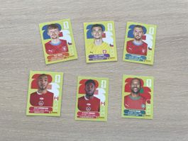 Stickers panini 