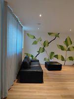 2 Vorhänge 2.5m grau