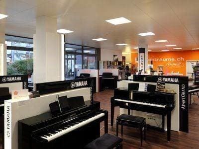 Yamaha Strumenti musicali: YAMAHA REFACE DX NEU! – Nuovo e nell'imballaggio originale da Oftringen venduto da tastentraeume-ch 3